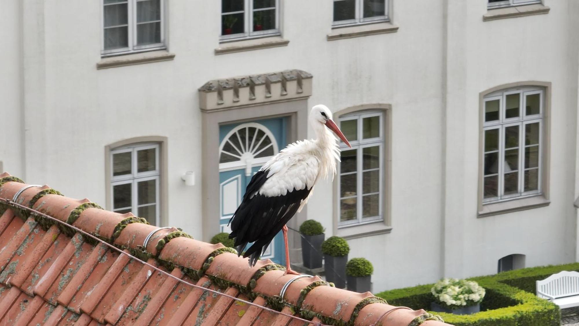 Hotel & Gaestehaus Gut Kaden Alveslohe Bagian luar foto
